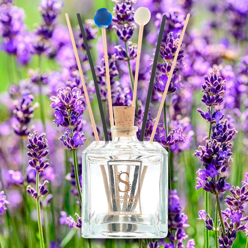 Reed Lavanda Francesa